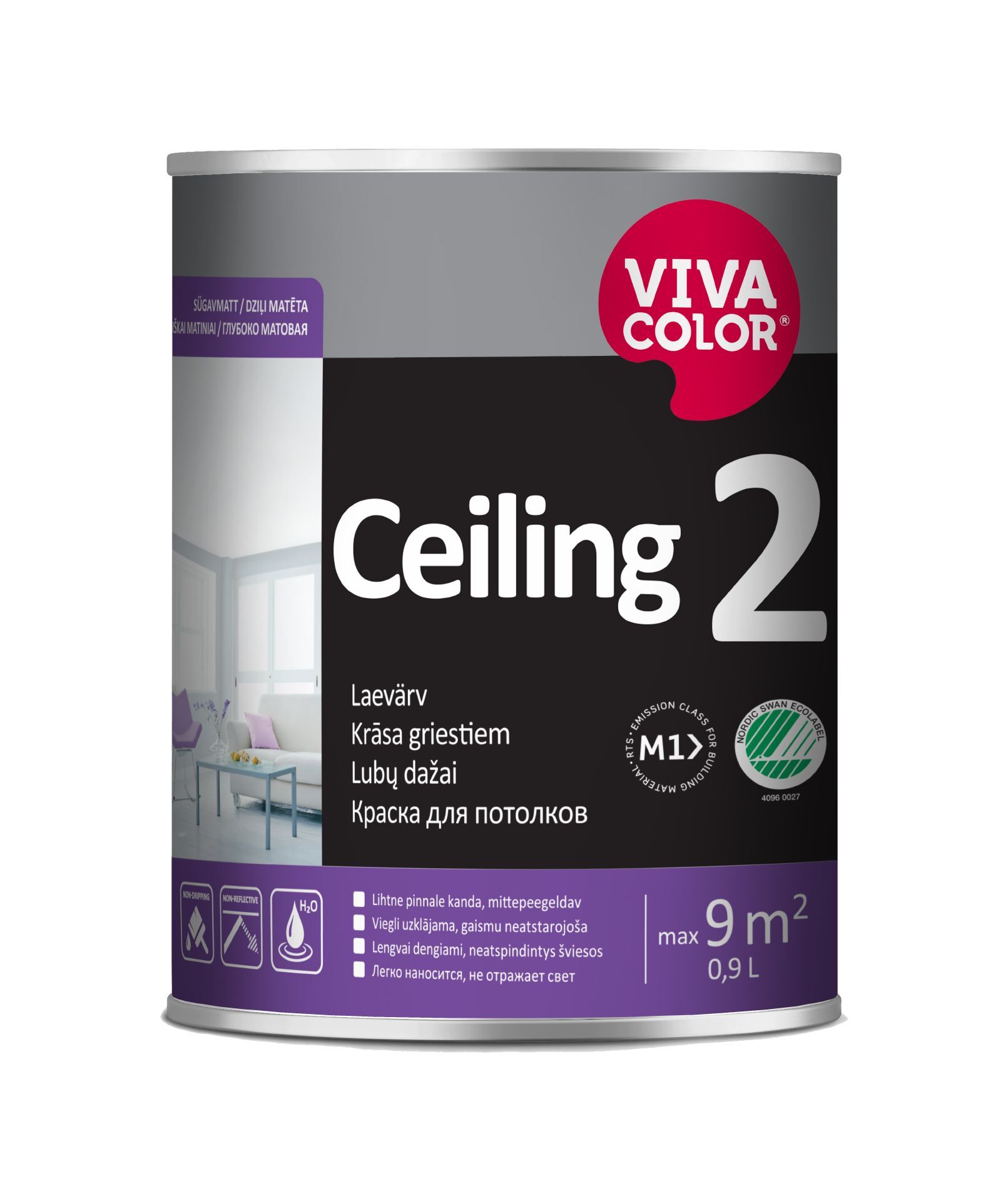 09l_celling2.jpg