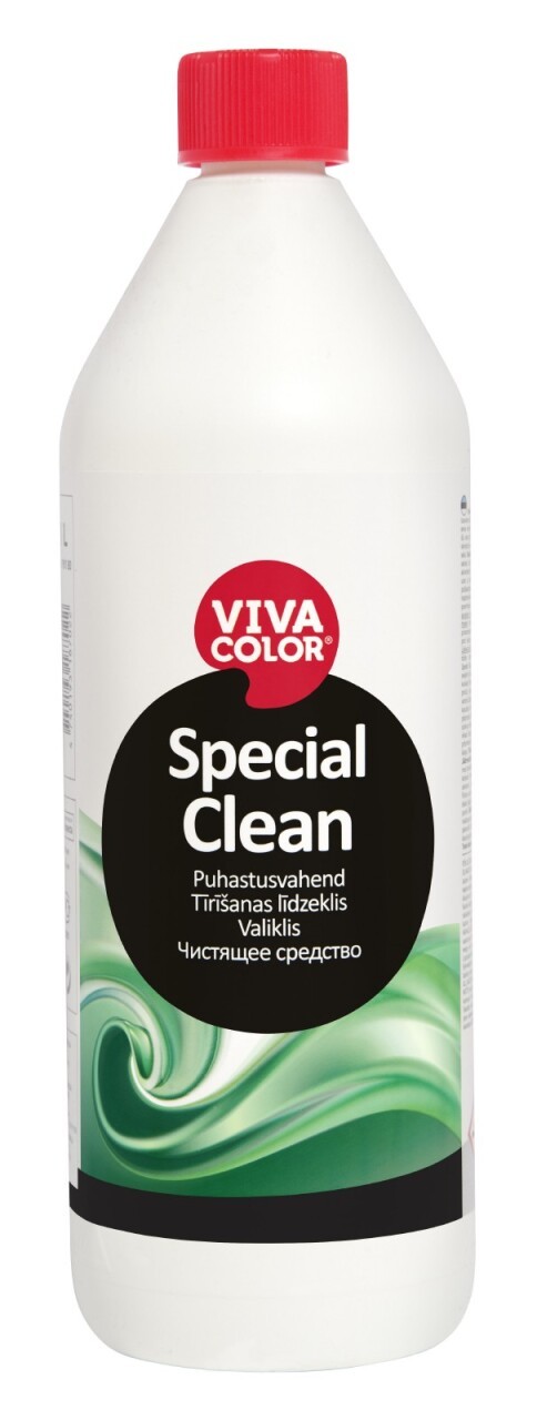 Special Clean