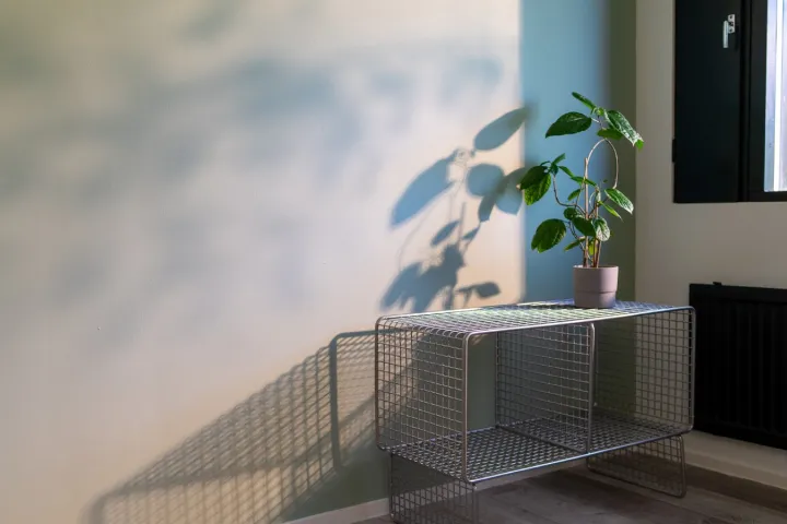 Kā veiksmīgi krāsot interjera sienas