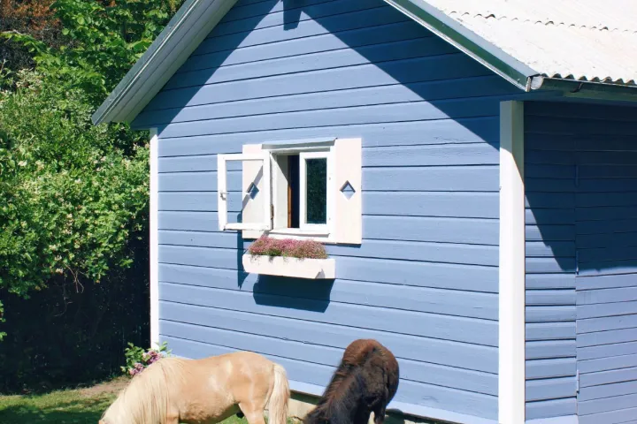 Mazas mājdzīvnieku kūtiņas pārvērtības