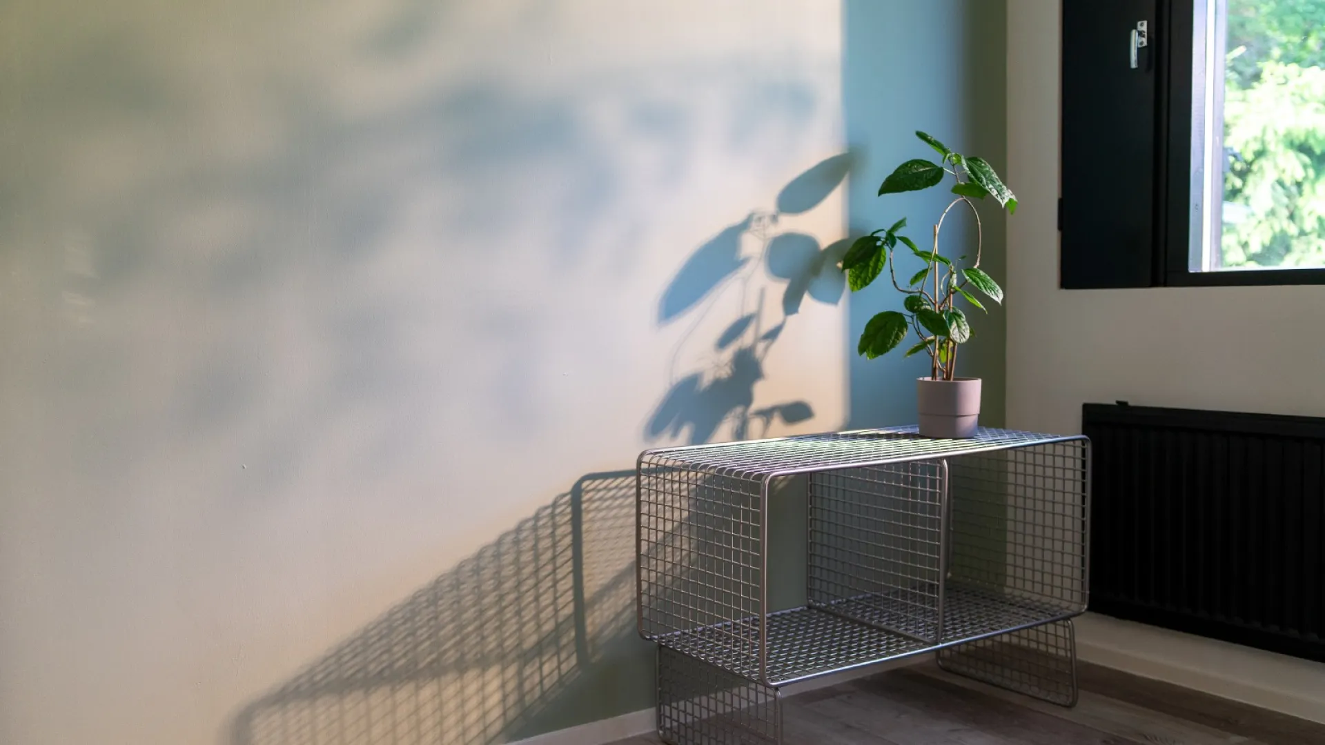 Kā veiksmīgi krāsot interjera sienas 