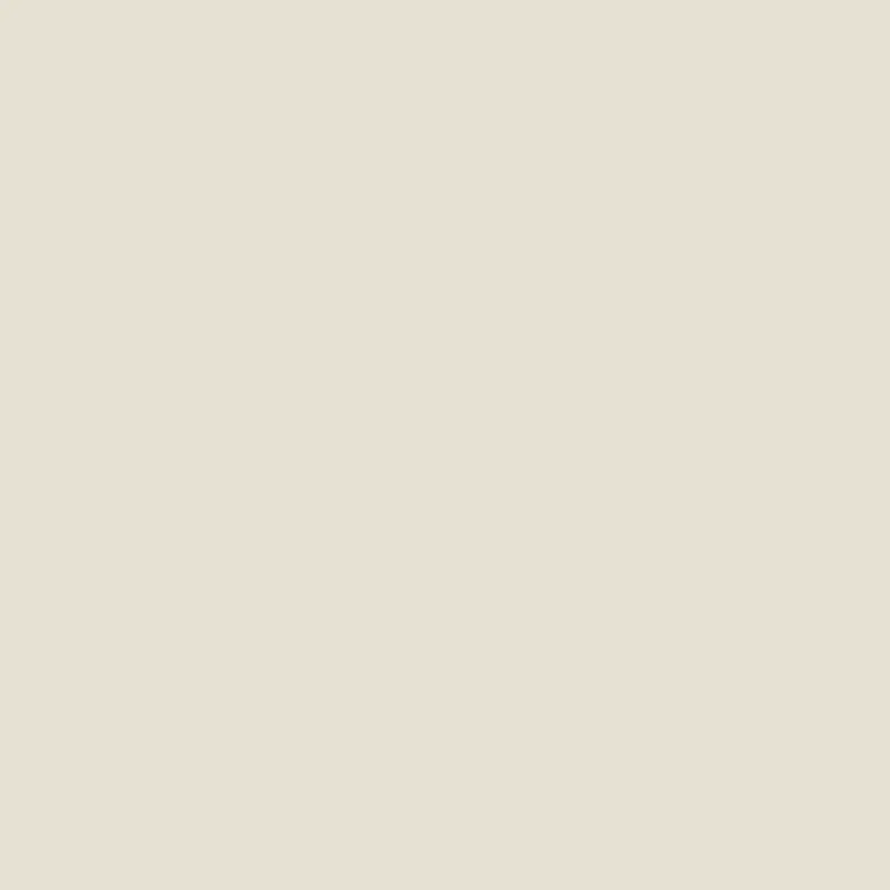 Y458 MERINO