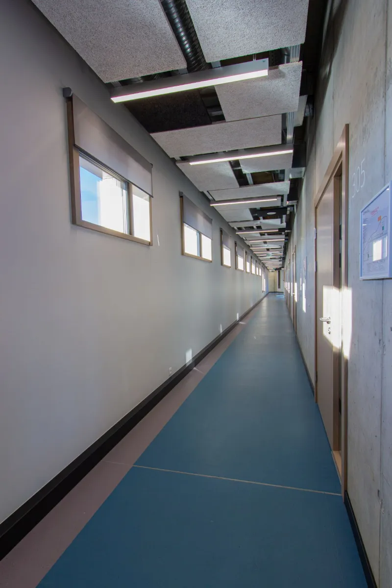 Mārupes Mūzikas un mākslas skola